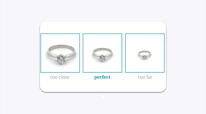 GemCam Framing Guide — 70% Fill Composition