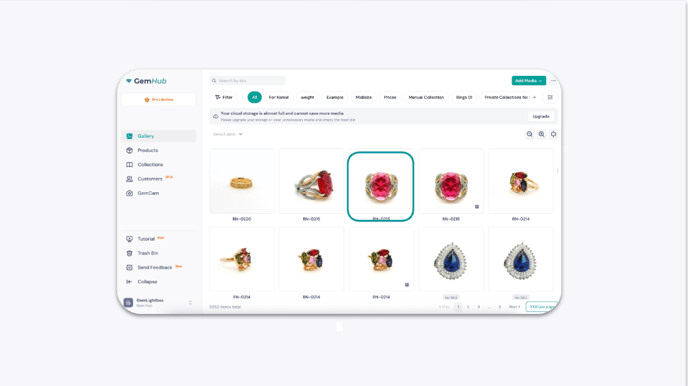 A Gallery of Jewelry Images in the GemIQ App